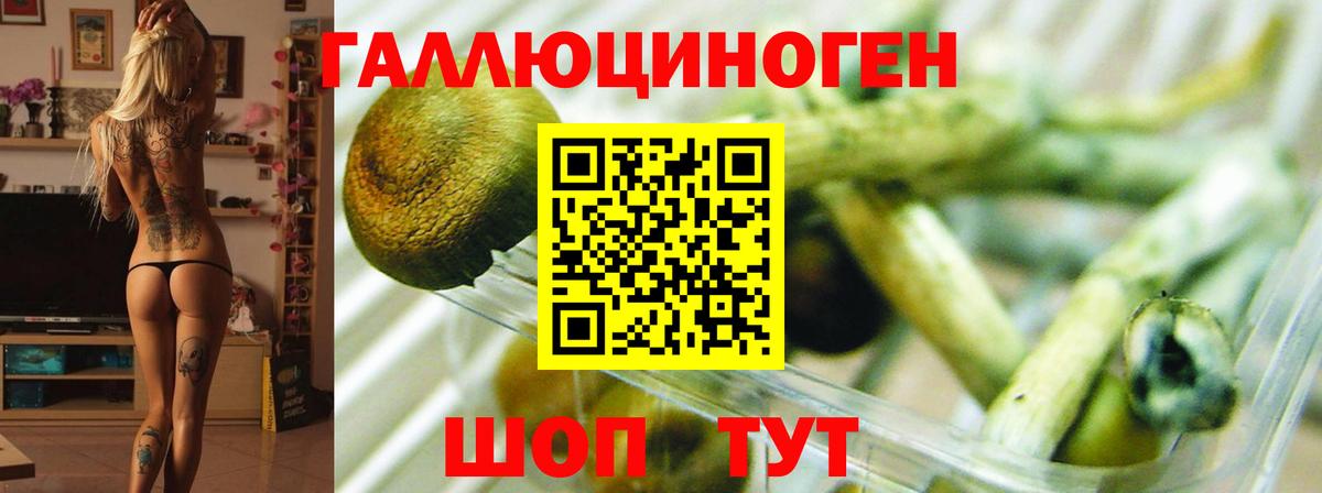 Галлюциногенные грибы Psilocybe  что такое   Солнечногорск  Псилоцибиновые грибы Magic Shrooms  Вход с VPN 